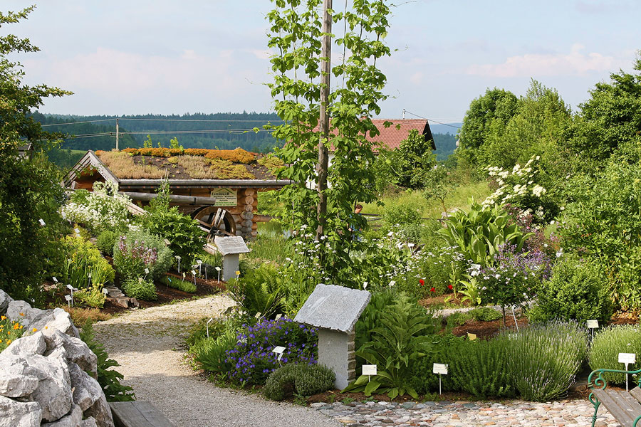 Hildegard von Bingen, Gesundheitszentrum, Aderlass, Massage, Fußreflexzonen, Ernährung, Dinkelbrot, Brotbacken, Kräutergarten