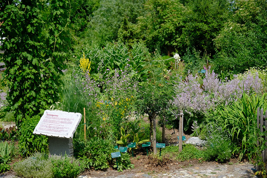 Hildegard von Bingen, Gesundheitszentrum, Aderlass, Massage, Fußreflexzonen, Ernährung, Dinkelbrot, Brotbacken, Kräutergarten