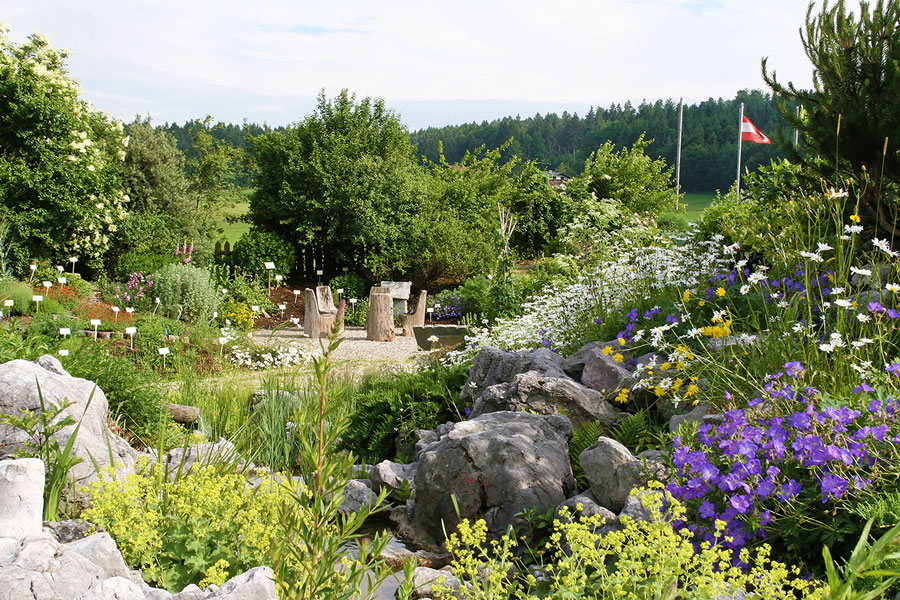 Hildegard von Bingen, Gesundheitszentrum, Aderlass, Massage, Fußreflexzonen, Ernährung, Dinkelbrot, Brotbacken, Kräutergarten