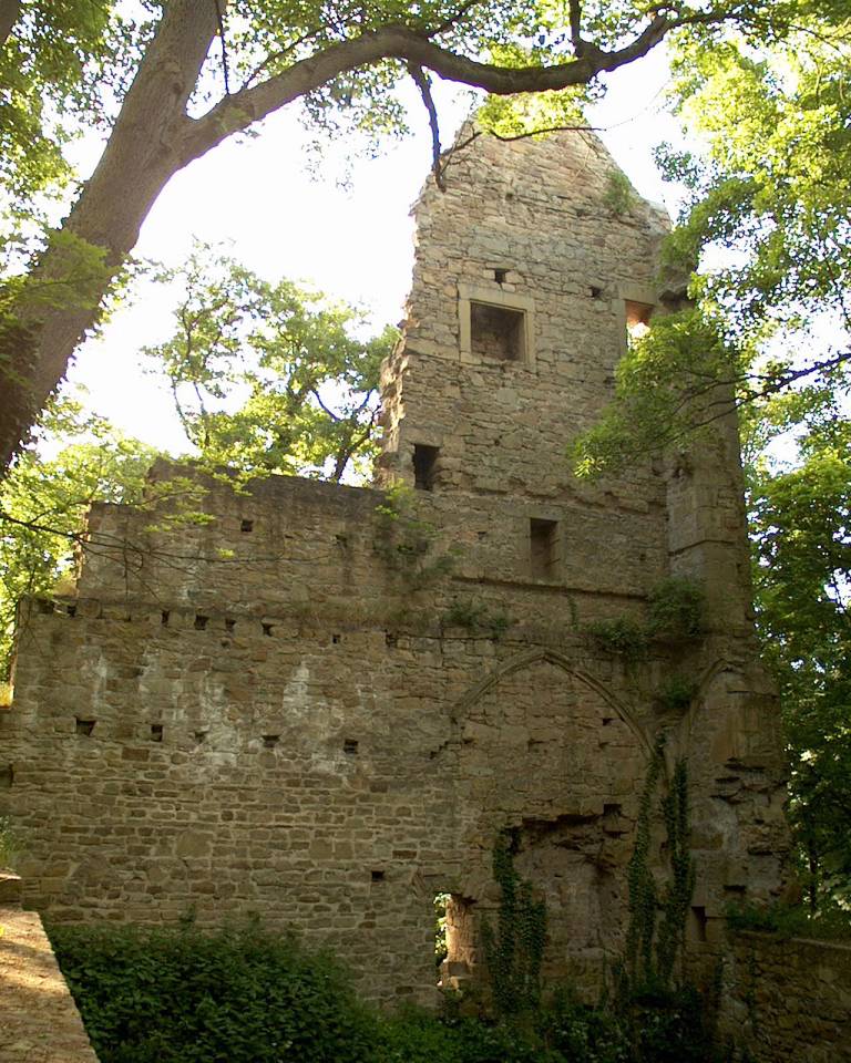 Hildegard von Bingen, Gesundheitszentrum, Aderlass, Massage, Fußreflexzonen, Ernährung, Dinkelbrot, Brotbacken, Kräutergarten