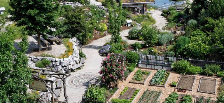Kräutergarten des Naturhaus Hildegard-Medizin in Kirchberg