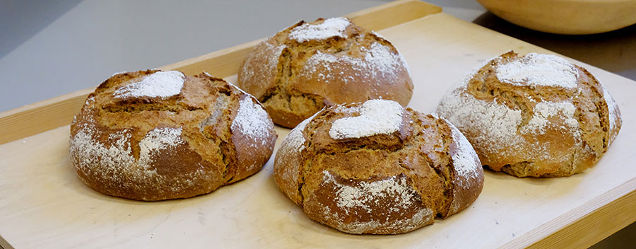 Dinkelbrot Brotbackkurse selber backen