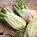 Der Fenchel