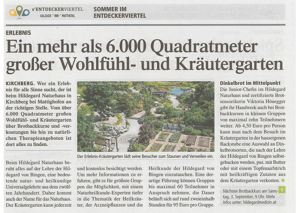 Beitrag Sommer im Entdeckerviertel