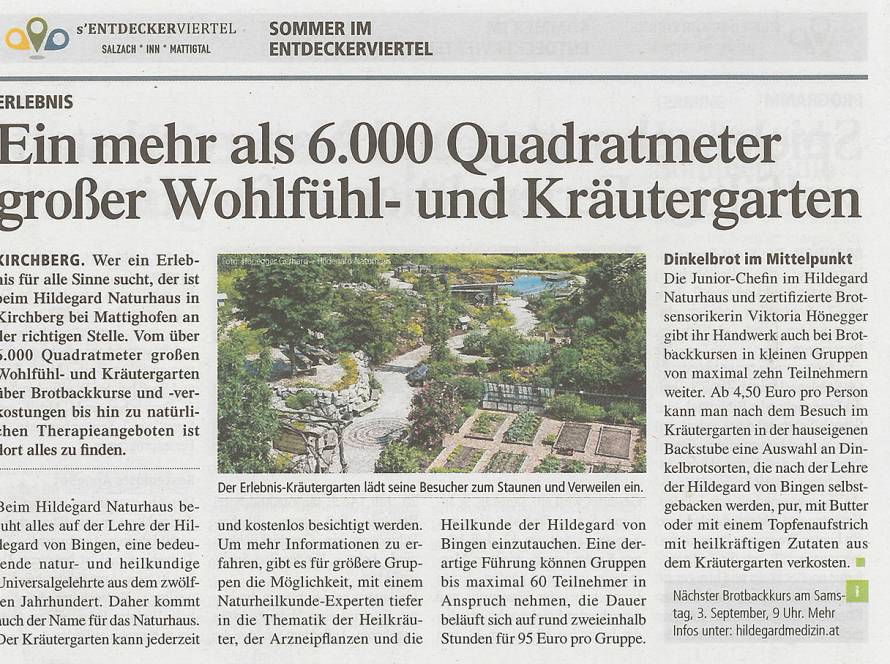 Beitrag Sommer im Entdeckerviertel